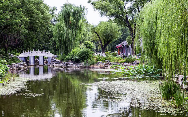 北京大学校园风景