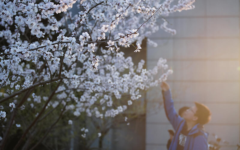 中国人民大学校园风景