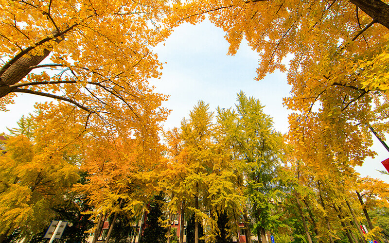 中国人民大学校园风景