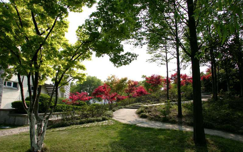 上海交通大学校园风景