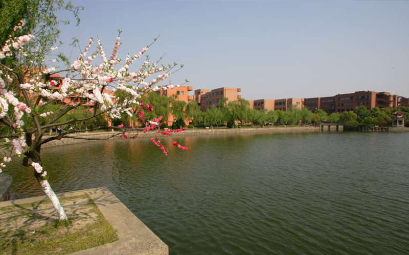 上海交通大学校园风景