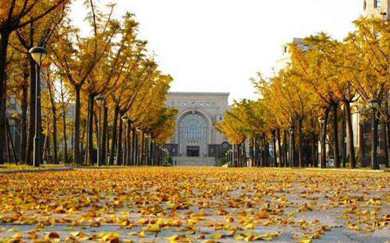 南京大学校园风景